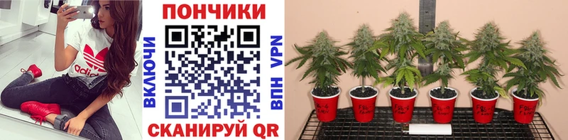 Метадон Мышкин