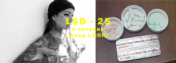 ГАЛЛЮЦИНОГЕННЫЕ ГРИБЫ Краснотурьинск