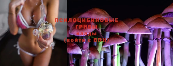 прущие крисы Куйбышев