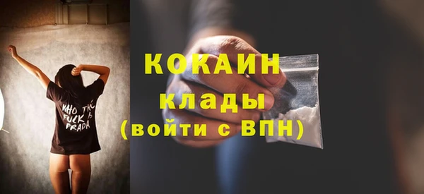 ГАЛЛЮЦИНОГЕННЫЕ ГРИБЫ Краснотурьинск