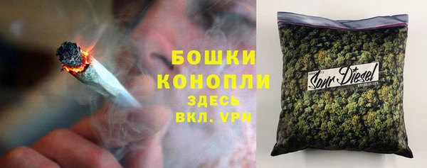 spice Краснослободск