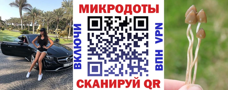OMG ссылка  Мышкин  Псилоцибиновые грибы мицелий 